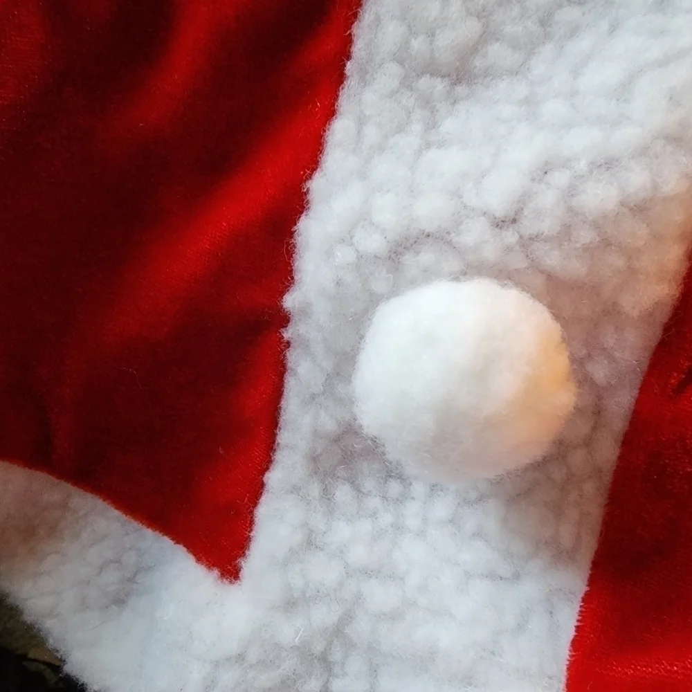 NWT Merry & Bright Santa Claus Dog Pet Costume Christmas Holiday Clothing New